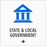 State & Local government icon.