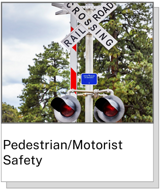 Pedestrian/Motorist Safety